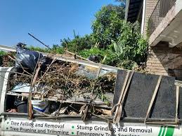Best Shed Removal  in Pomona, KS